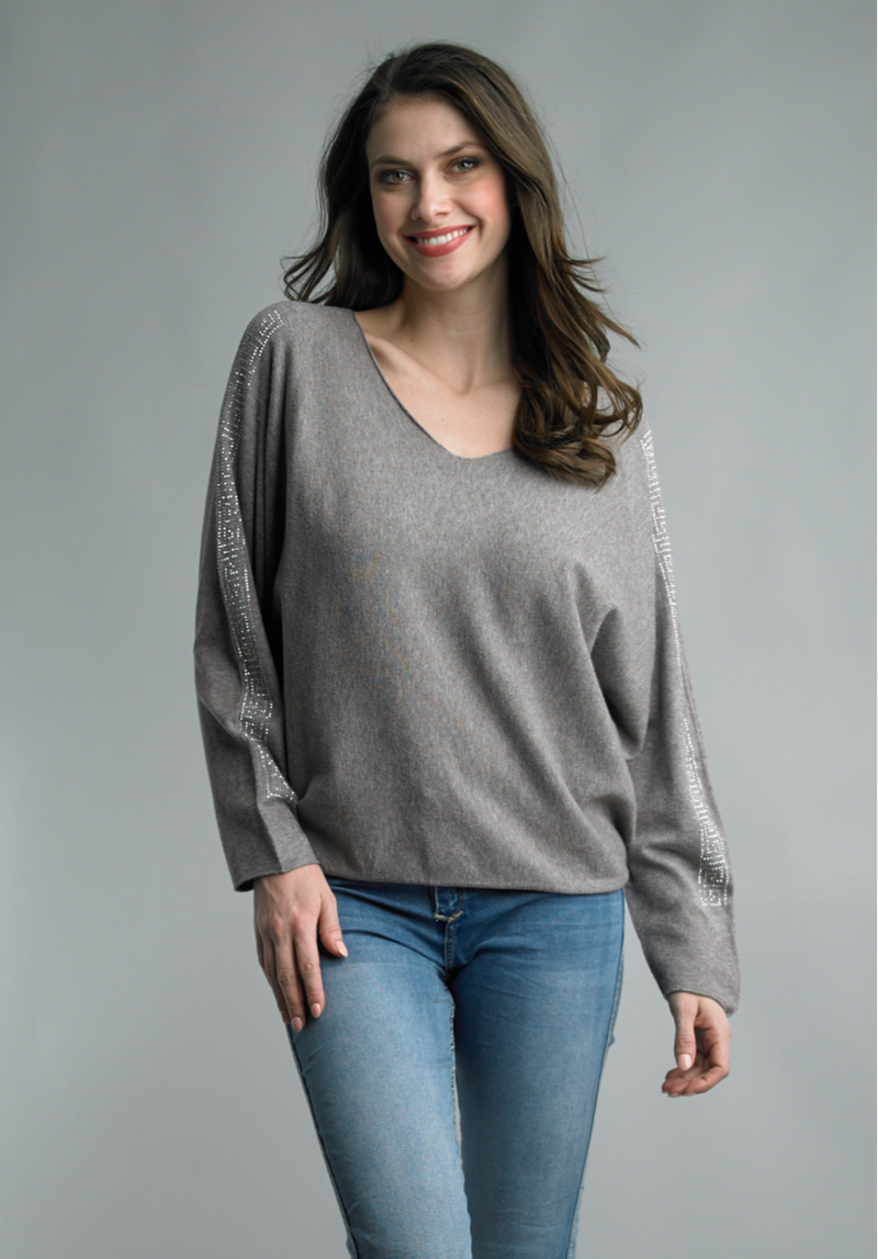 Twinkle Sleeve Taupe Top